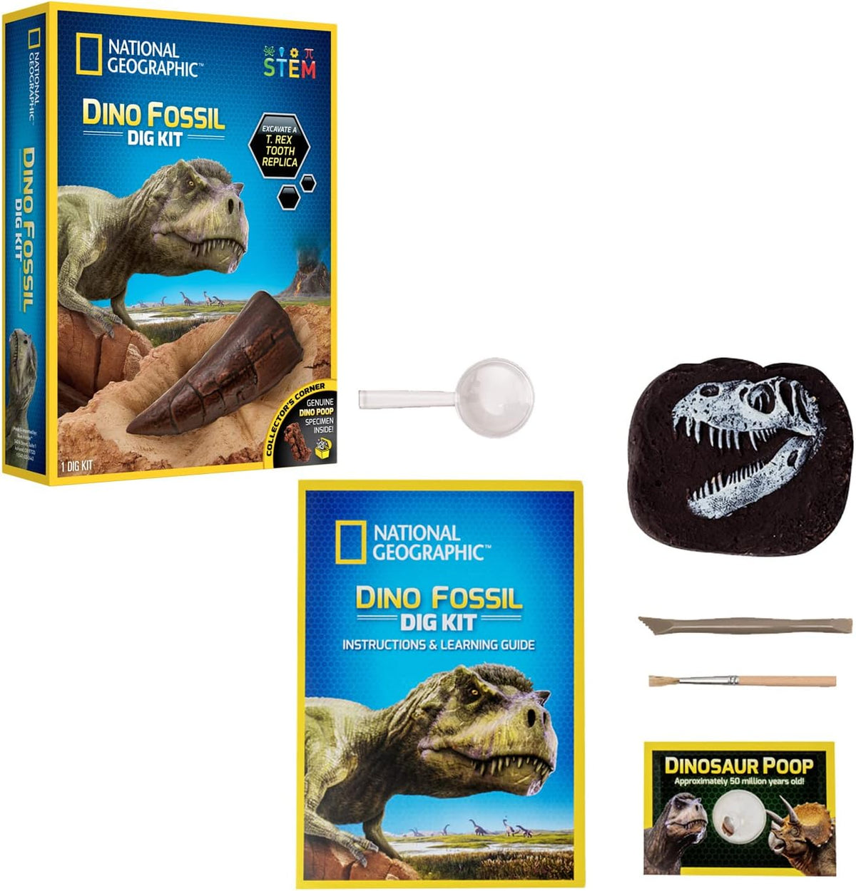 NATIONAL GEOGRAPHIC Ausgrabungsset Dinosaurier Fossilien - Paläontologie Lernspielzeug