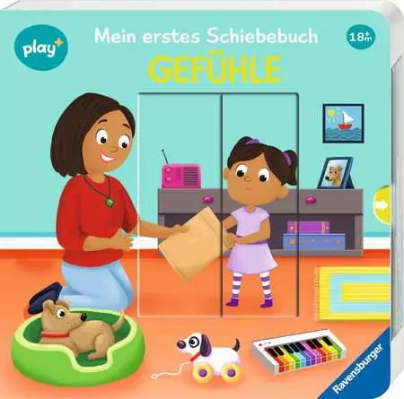 Schiebebuch: Gefühle