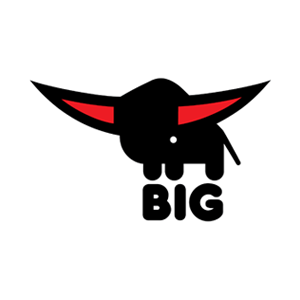 BIG Bloxx