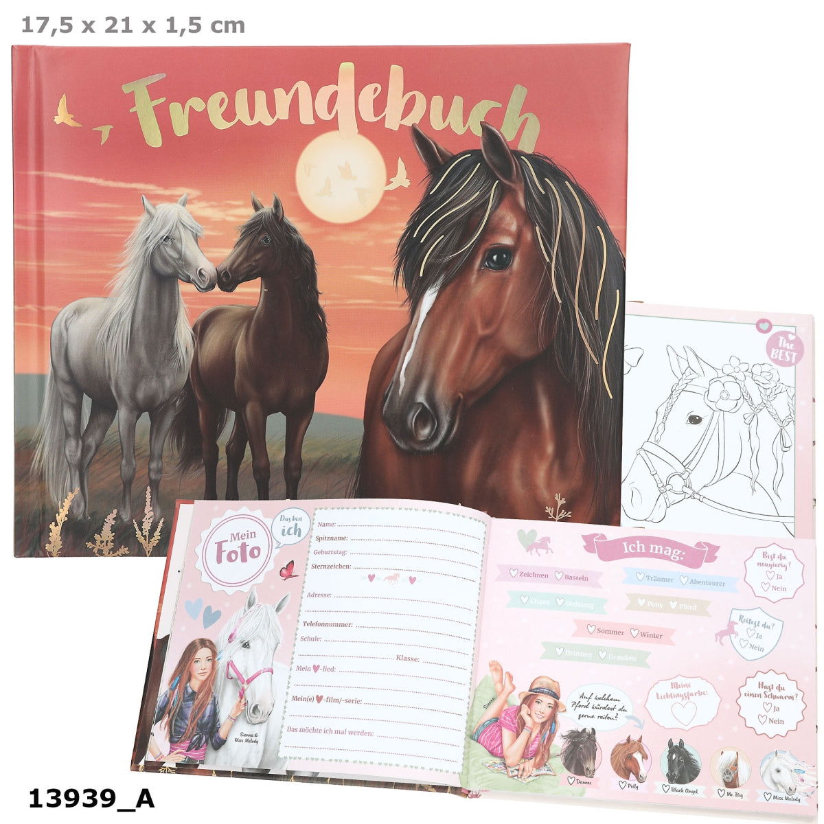 Miss Melody Freundebuch Motiv 2 - 108 Seiten für Freunde