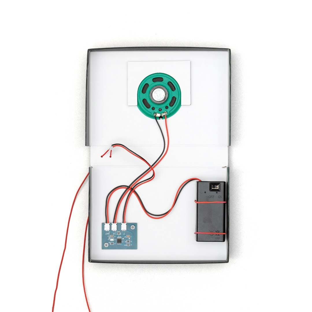 FRANZIS CheXperiment L fcgen-Check mit Checker Tobi