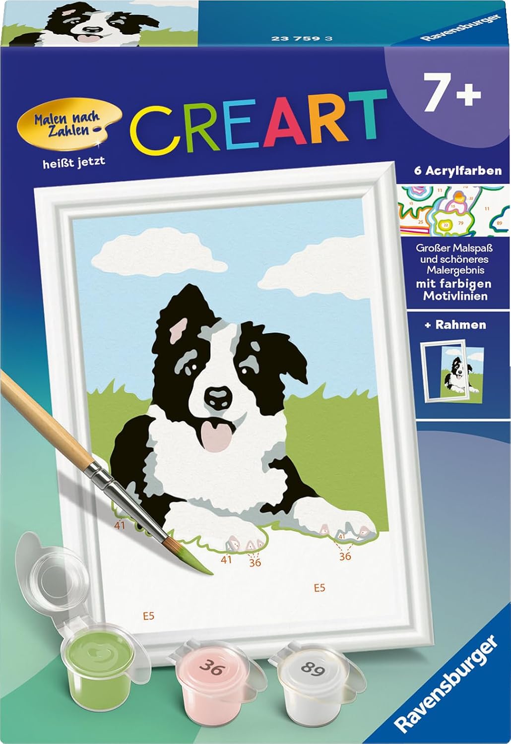 Ravensburger CreArt Malen nach Zahlen – Border Collie Welpe